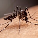 Young slim woman enjoys weight loss result